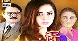 Popular Pakistani TV Dramas Online: Drama and Reality