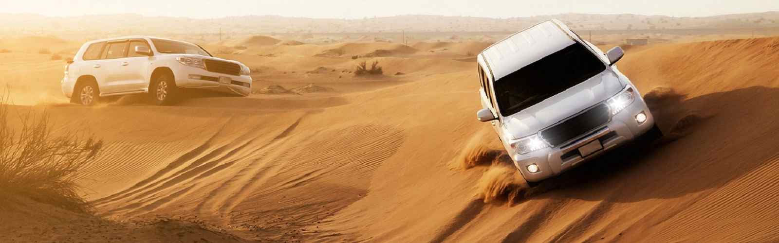 Desert Safari Dubai, Pick/Drop Service & Dinner Included | DUBAI ADVENTURES