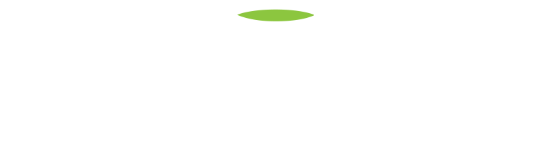 Matcha Green Tea directly from Japan