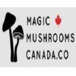 Magic Mushrooms Canada