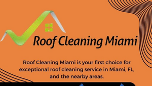 roof cleaning Homestead by Roof Cleaning on Prezi Design