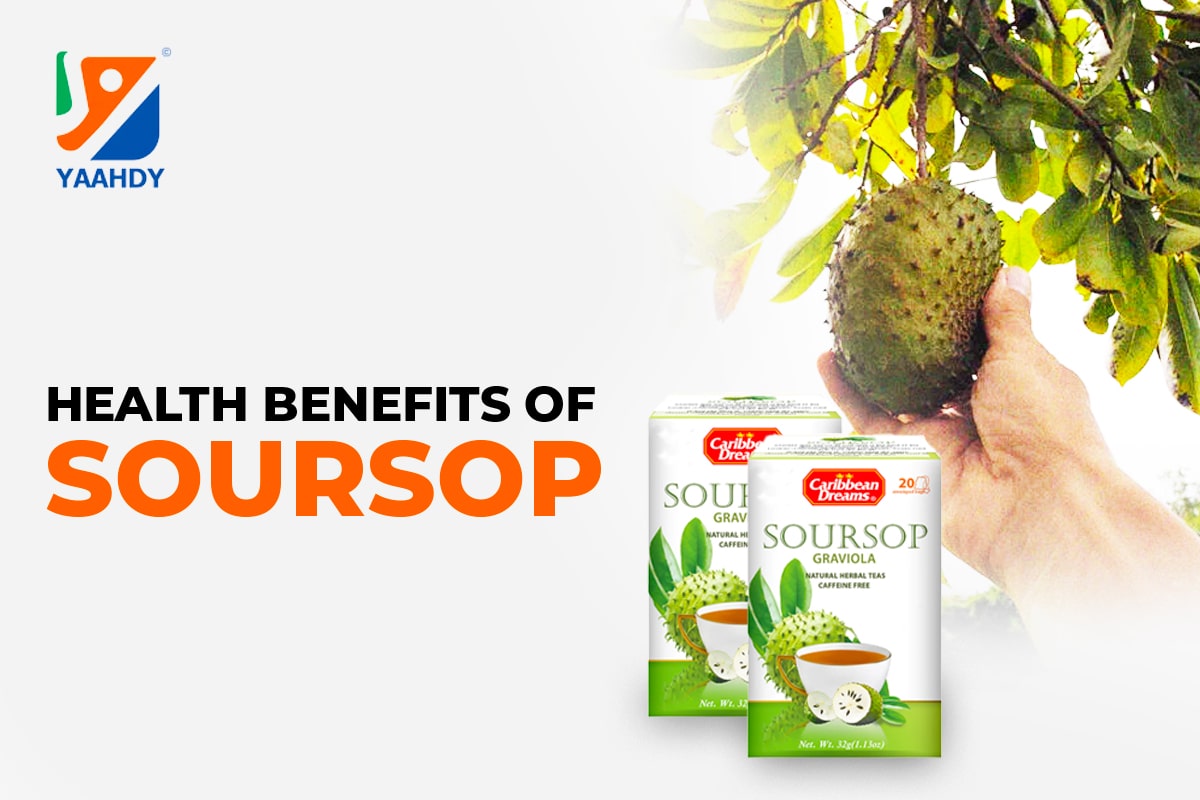 Health Benefits of Soursop – YAAHDY.COM