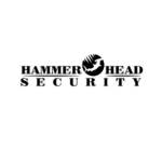 Hammer Head Security