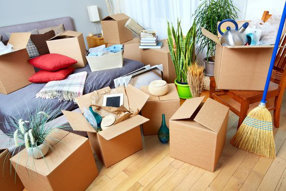 How to Research and Vet Moving Companies?