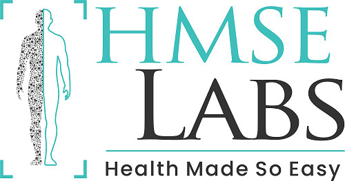 HMSE LABS