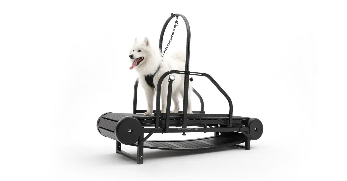 Ronzeil Dog Treadmill | Dog Running Machine | Dog Treadmill For Sale | Buy Dog Treadmill - ronzeil.com