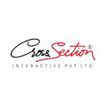 Cross Section Interactiv