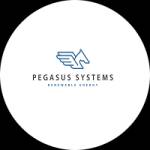 Pegasus Systems