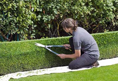 Maximize Your Home's Value with Landscaping and Garden Design in Ireland - East Coast Fencing