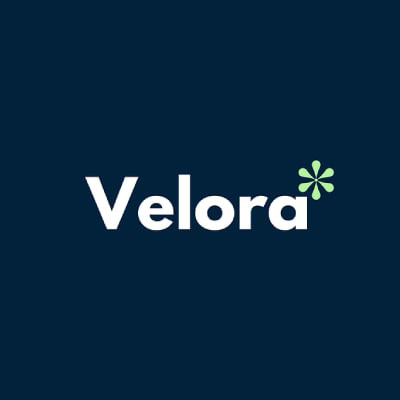 Velora Virtual Assistant