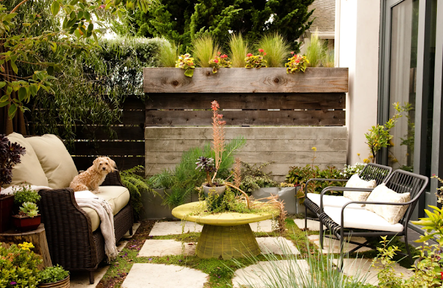 Tips to Make a Small Yard Look Larger