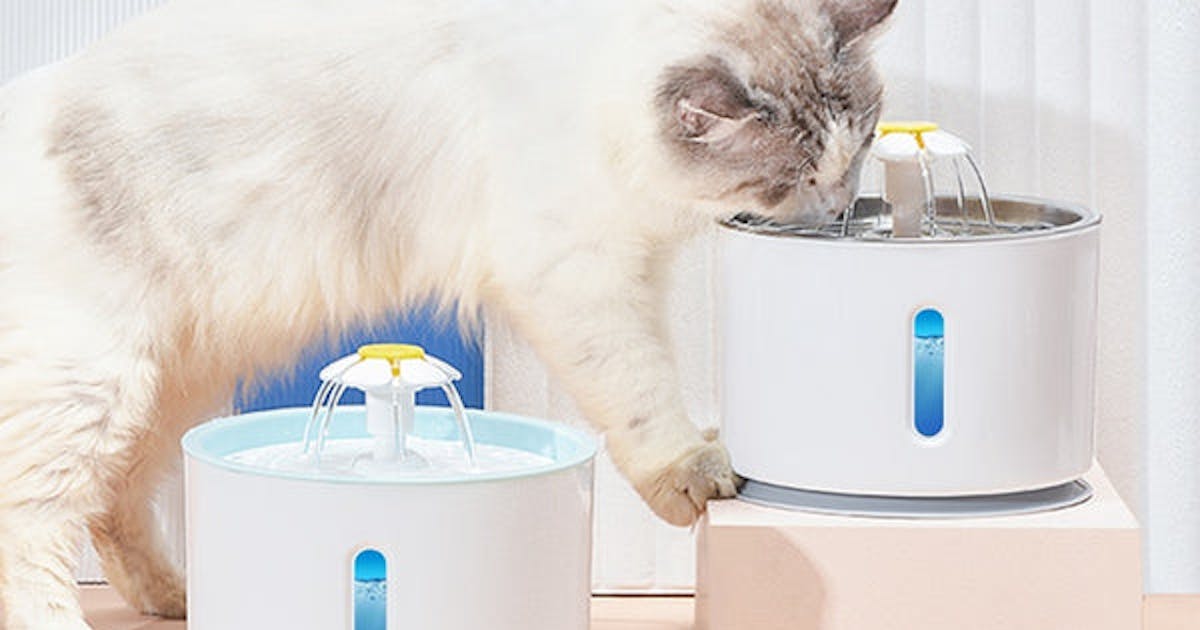 Discover simple tips to keep your dog hydrated with a water fountain.