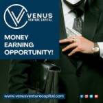 Venus Venture Capital