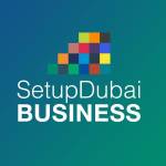 Setup Dubai Business