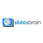 Slides Brain