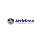 Attic Prosinc