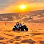 UAE Safari