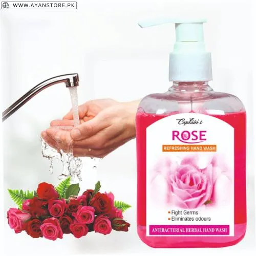 Buy Pure Palm Hand Wash Pakistan Best | Ayanstore.pk